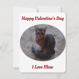 Tabby Cat Mewing Foto I Liebe Mew Valentine Feiertagskarte