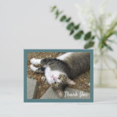 Tabby Cat mit Dreamy Eyes Danke Postcard Postkarte (Stehend Vorderseite)