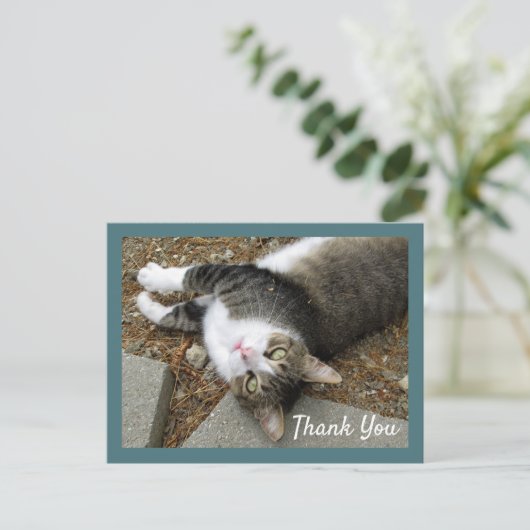 Tabby Cat mit Dreamy Eyes Danke Postcard Postkarte (Stehend Vorderseite)