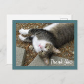 Tabby Cat mit Dreamy Eyes Danke Postcard Postkarte (Vorne/Hinten)