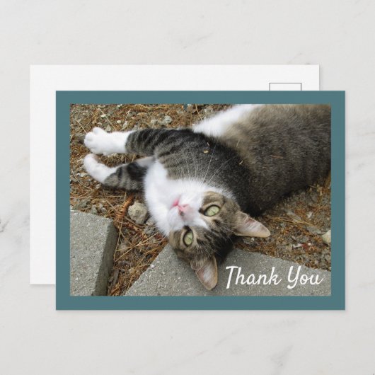 Tabby Cat mit Dreamy Eyes Danke Postcard Postkarte (Vorne/Hinten)