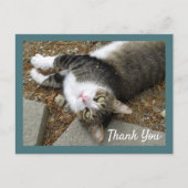 Tabby Cat mit Dreamy Eyes Danke Postcard Postkarte (Vorderseite)