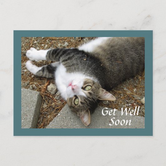 Tabby Cat mit Dreamy Eyes Get Well Postcard Postkarte (Vorderseite)