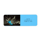 Tabby Cat mit Feather von Shirley Taylor (Vorne)