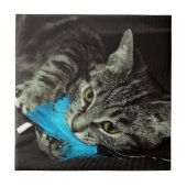 Tabby Cat mit Feather von Shirley Taylor Fliese (Vorderseite)