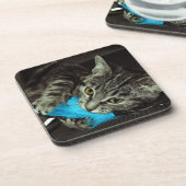 Tabby Cat mit Feather von Shirley Taylor Getränkeuntersetzer (Linke Seite)