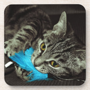 Tabby Cat mit Feather von Shirley Taylor Getränkeuntersetzer