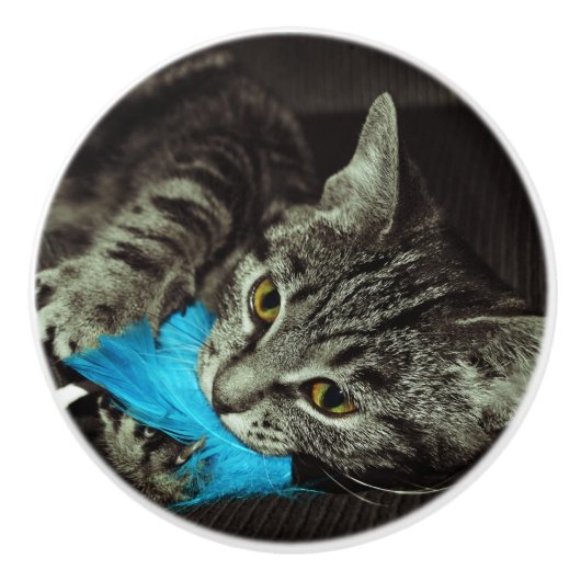 Tabby Cat mit Feather von Shirley Taylor Keramikknauf (Vorderseite)