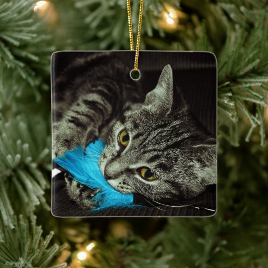 Tabby Cat mit Feather von Shirley Taylor Keramikornament (Baum)