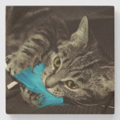 Tabby Cat mit Feather von Shirley Taylor Steinuntersetzer (Vorderseite)