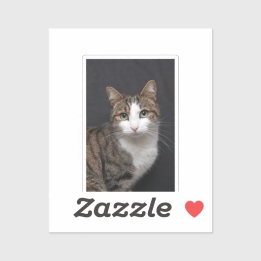 Tabby Cat mit grünen Augen gegen schwarzen Hinterg Aufkleber (Blatt)