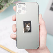 Tabby Cat mit grünen Augen gegen schwarzen Hinterg Aufkleber (Telefon)