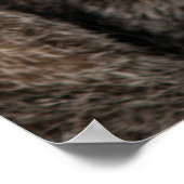 Tabby Cat mit grünen Augen gegen schwarzen Hinterg Poster (Ecke)