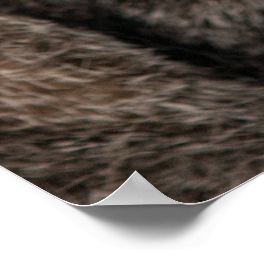 Tabby Cat mit grünen Augen gegen schwarzen Hinterg Poster (Ecke)