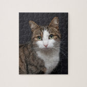 Tabby Cat mit grünen Augen gegen schwarzen Hinterg Puzzle (Vertikal)