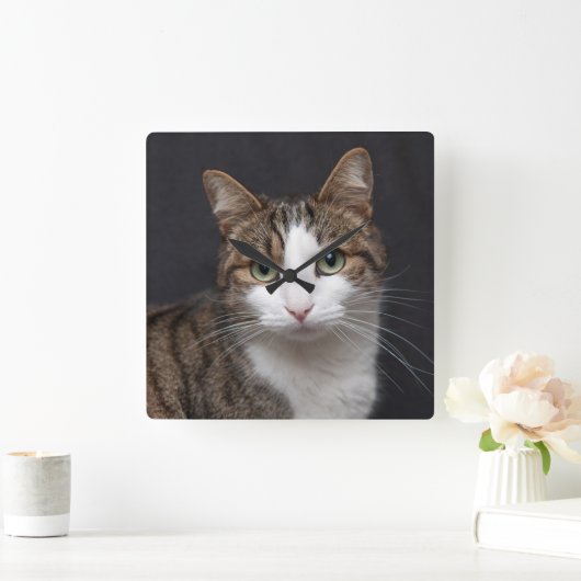 Tabby Cat mit grünen Augen gegen schwarzen Hinterg Quadratische Wanduhr (Zuhause)