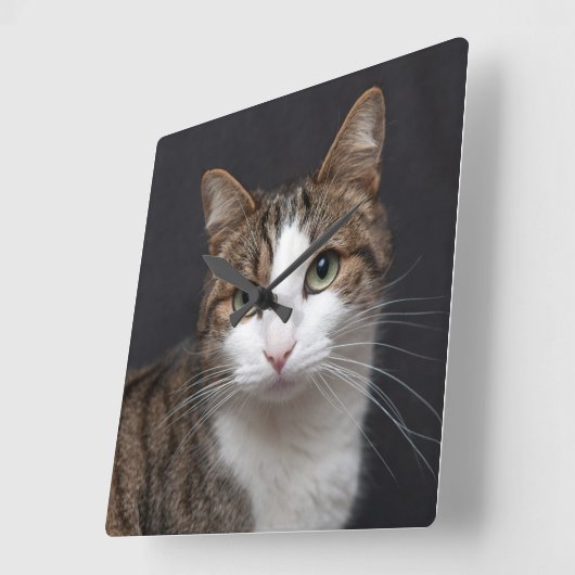 Tabby Cat mit grünen Augen gegen schwarzen Hinterg Quadratische Wanduhr (Winkel)