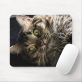 Tabby Cat Mousepad (Mit Mouse)