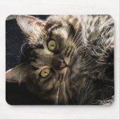 Tabby Cat Mousepad (Vorne)