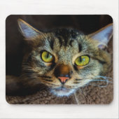 Tabby Cat Mousepad (Vorne)