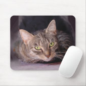 Tabby Cat Mousepad (Mit Mouse)