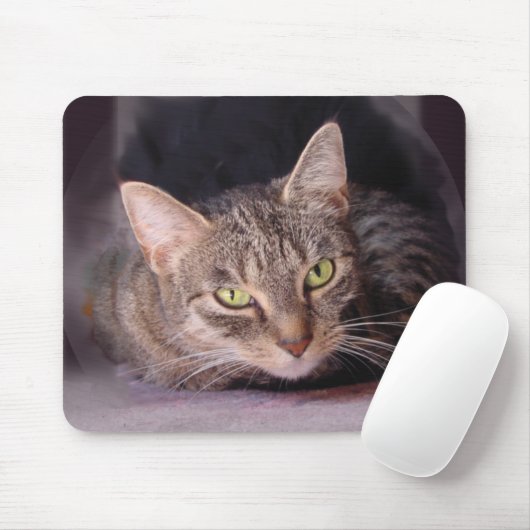 Tabby Cat Mousepad (Mit Mouse)