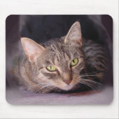 Tabby Cat Mousepad (Vorne)