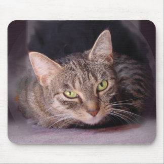 Tabby Cat Mousepad