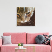 Tabby Cat Nah Up Wrapped Canvas Leinwanddruck (Insitu (Wohnzimmer))