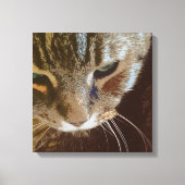Tabby Cat Nah Up Wrapped Canvas Leinwanddruck (Vorderseite)