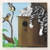 Tabby Cat Napping Birdhouse Glasuntersetzer (Vorderseite)