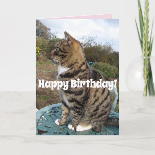 Tabby Cat Niedlich gestreifte Katzen Happy Birthda Karte (Vorderseite)