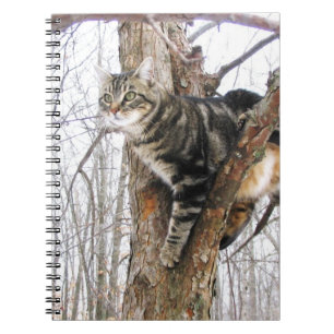 Tabby Cat Notebook Notizblock