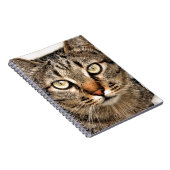 Tabby Cat Notizblock (Rechte Seite)