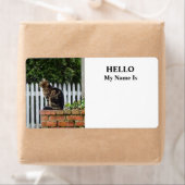 Tabby Cat on Brick Wall (Insitu)