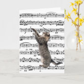 Tabby Cat On Music Geburtstag Karte (Gelbe Blume)