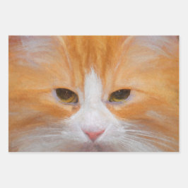 Tabby Cat Orange White Niedlich Fluffy Beautiful Geschenkpapier Set