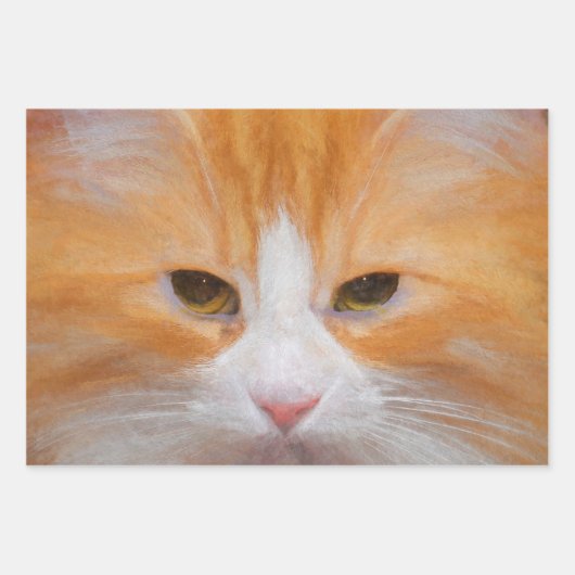 Tabby Cat Orange White Niedlich Fluffy Beautiful Geschenkpapier Set (Vorderseite)