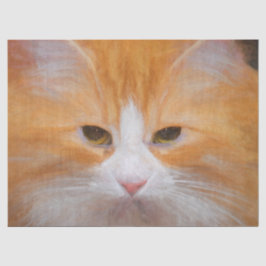 Tabby Cat Orange White Niedlich Fluffy Schöne Seidenpapier