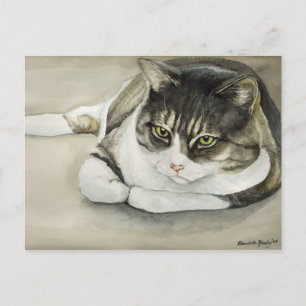 Tabby Cat Original Postkarte
