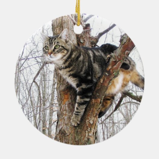 Tabby Cat Ornament (Hinten)