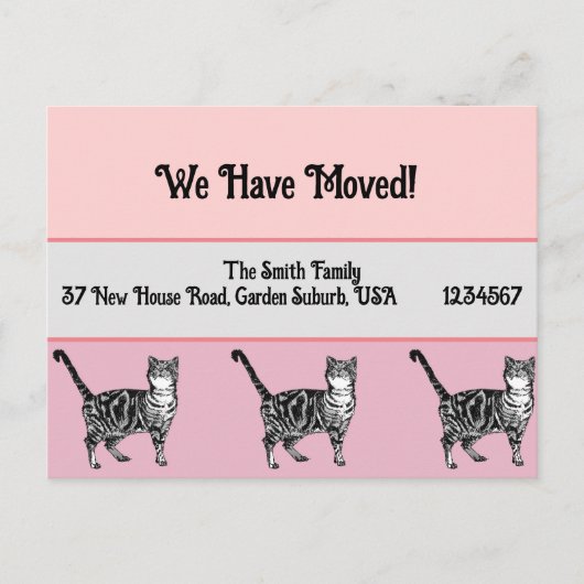 Tabby Cat Pink neue Adresse Postcard, wir bewegen  Postkarte (Vorderseite)