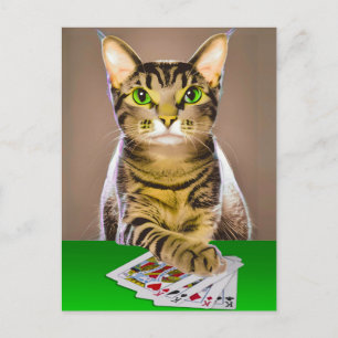 Tabby Cat Playing Poker Postkarte