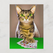 Tabby Cat Playing Poker Postkarte (Vorderseite)
