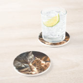 Tabby Cat Playing Schach Getränkeuntersetzer (Seite)