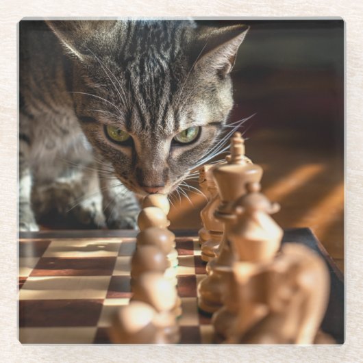 Tabby Cat Playing Schach Glasuntersetzer (Vorderseite)