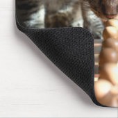 Tabby Cat Playing Schach Mousepad (Ecke)