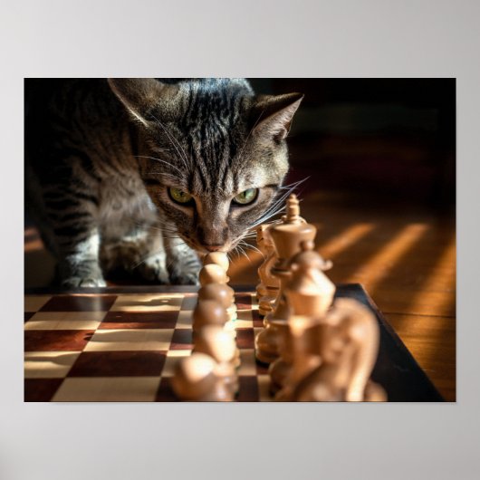 Tabby Cat Playing Schach Poster (Vorne)