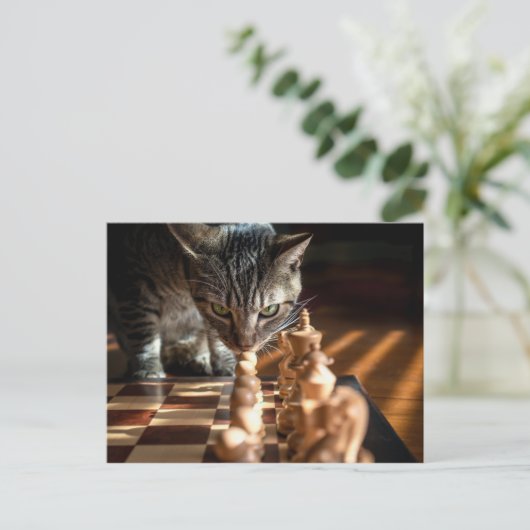Tabby Cat Playing Schach Postkarte (Stehend Vorderseite)