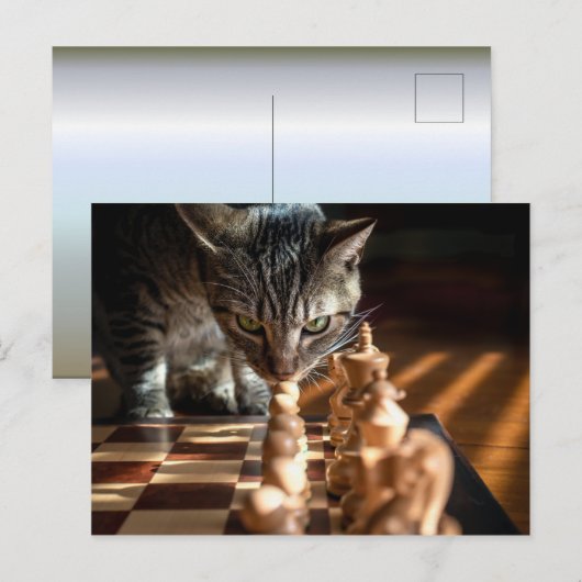 Tabby Cat Playing Schach Postkarte (Vorne/Hinten)